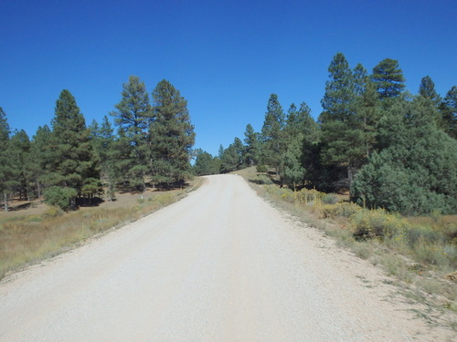 GDMBR: Little hill, nice road, north on NF-49.